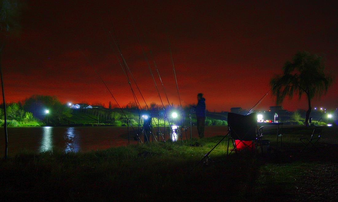 Night-vision-2 - img154567resize.jpg